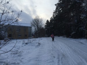 IMG_0239